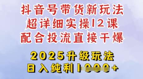 2025全新升级抖音带货玩法，一天纯利四位数，从剪辑到选品再到发布投流，超详细玩法揭秘-宇文网创