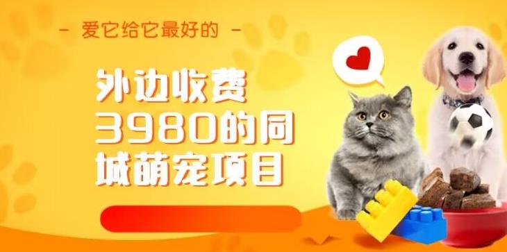 外边收费3980的同城萌宠项目，用最冷门的玩法冲击最热门的市场【揭秘】-宇文网创