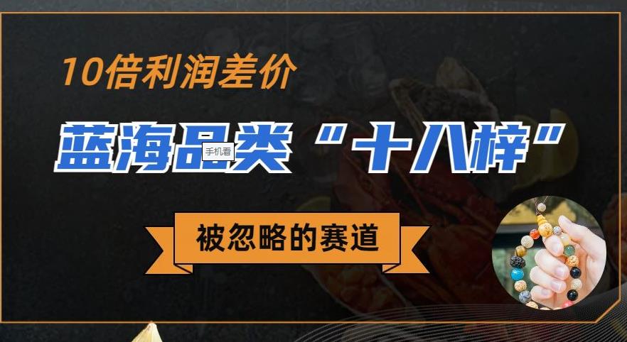 被忽略的蓝海品类“十八籽”，10倍的利润差价，同行一天几十单【揭秘】-宇文网创