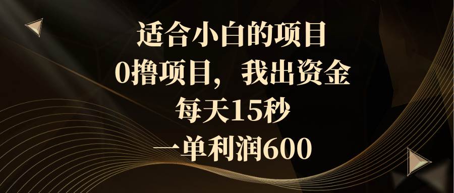 （8571期）适合小白的项目，0撸项目，我出资金，每天15秒，一单利润600-宇文网创