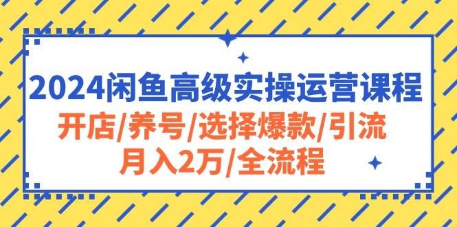 （10711期）2024闲鱼高级实操运营课程：开店/养号/选择爆款/引流/月入2万/全流程-宇文网创