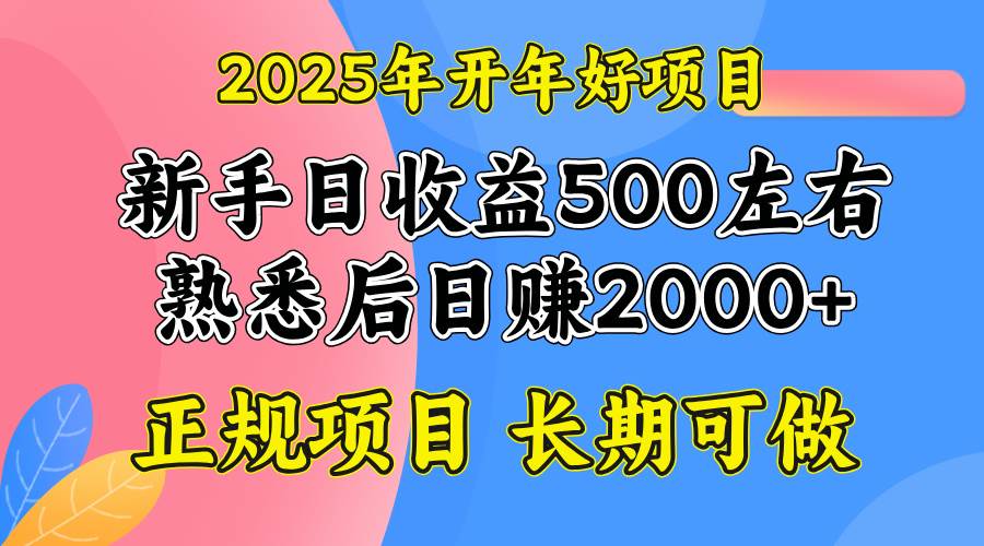 （14076期）2025开年好项目，单号日收益2000左右-宇文网创