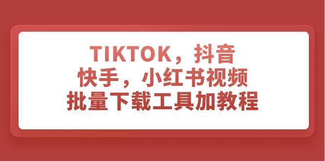 （7714期）TIKTOK，抖音，快手，小红书视频批量下载工具加教程-宇文网创