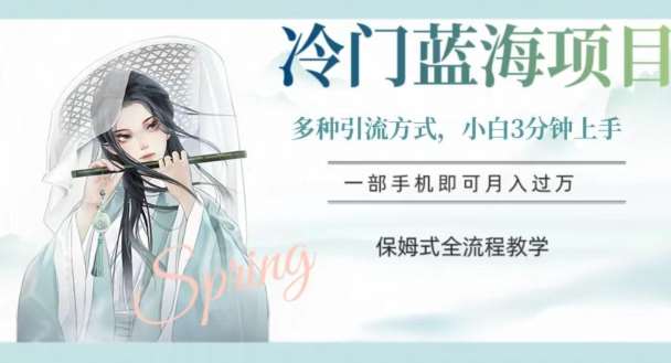 冷门蓝海项目，操作简单，小白3分钟上手，多种引流方式，保姆式全流程教学【揭秘】-宇文网创