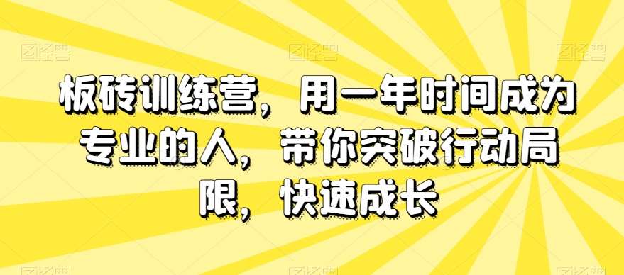板砖训练营，用一年时间成为专业的人，带你突破行动局限，快速成长-宇文网创