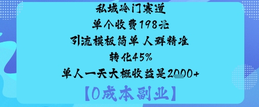 私域冷门赛道:单个收费198米引流模板简单人群精准转化45%单人一天大概收益是1k+-宇文网创
