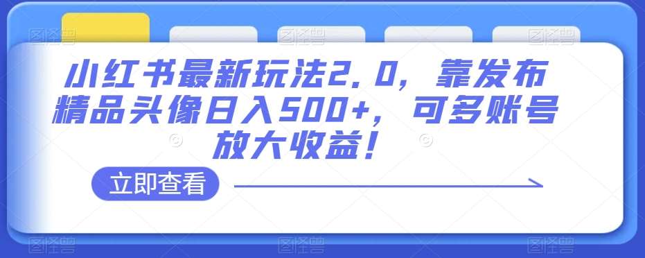 小红书最新玩法2.0，靠发布精品头像日入500+，可多账号放大收益！【揭秘】-宇文网创