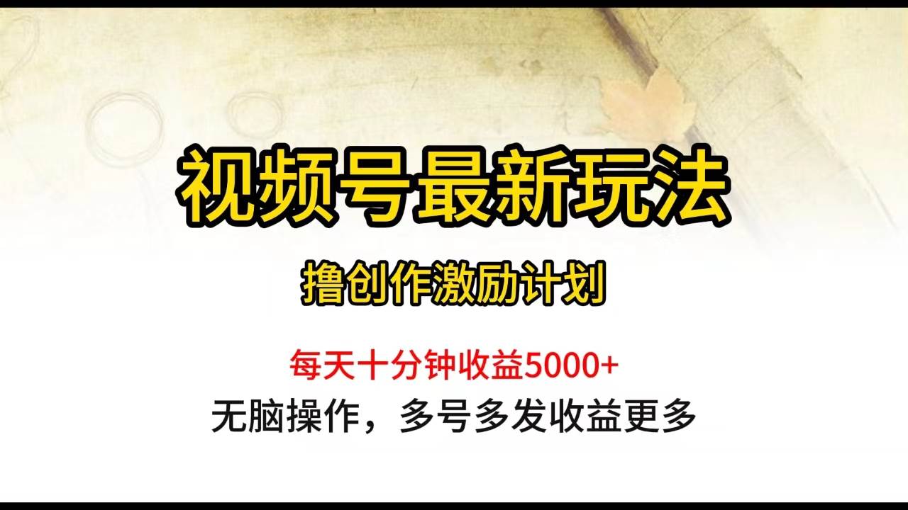 （10087期）视频号最新玩法，每日一小时月入5000+-宇文网创
