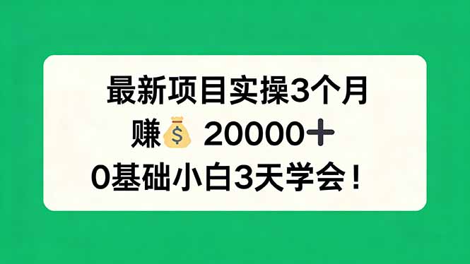 （17856期）最新项目实操3个月，赚钱20000+，0基础小白3天学会！-宇文网创