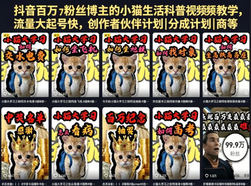 抖音百万粉丝博主的小猫生活科普视频教学,流量大起号快,创作者伙伴计划|分成计划|商单|收徒等-宇文网创
