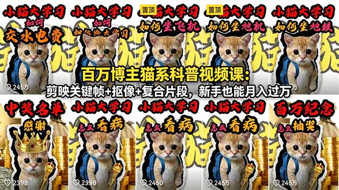 (18595期)百万博主猫系科普视频课:剪映关键帧+抠像+复合片段,新手也能月入过万-宇文网创