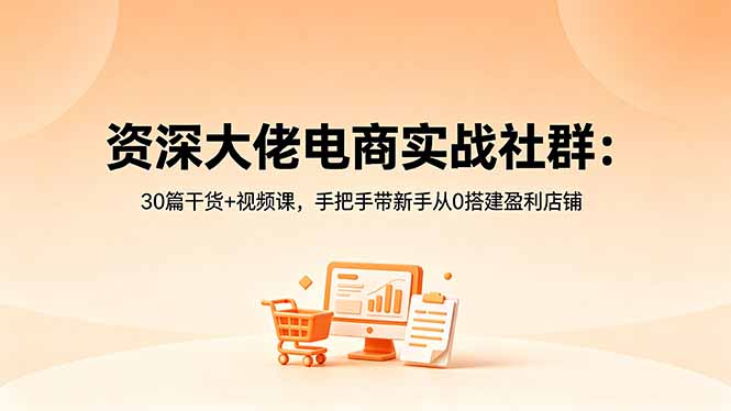 （18529期）资深大佬电商实战社群：30篇干货+视频课，手把手带新手从0搭建盈利店铺-宇文网创