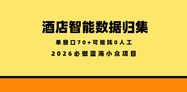 酒店智能数据归集，小众蓝海已经稳定半年之久，单窗口70+零成本矩阵开干【揭秘】-宇文网创