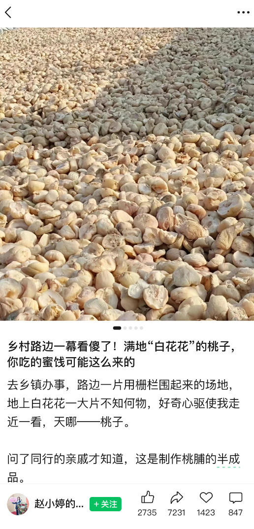图片[2]-公众号小绿书贴图项目，赚收益实操玩法，听话照听话照少走90%弯路丨副业可做-宇文网创