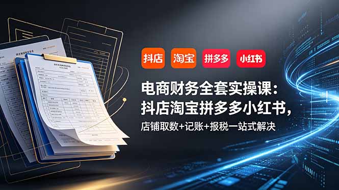 （19001期）电商财务全套实操课：抖店淘宝拼多多小红书，店铺取数+记账+报税一站式解决-宇文网创