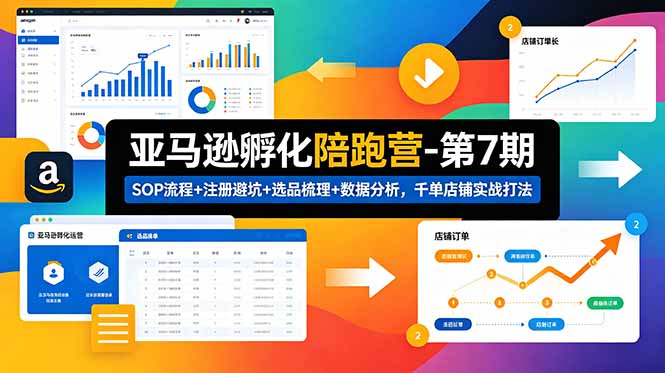 （18752期）亚马逊孵化陪跑营-第7期：SOP流程+注册避坑+选品梳理+数据分析，千单店铺实战打法-宇文网创