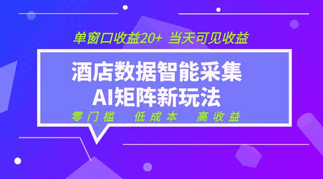 （19041期）2026酒店数据采集ai智能矩阵新风口  低成本   高收益   当天见收益   单窗口20+-宇文网创