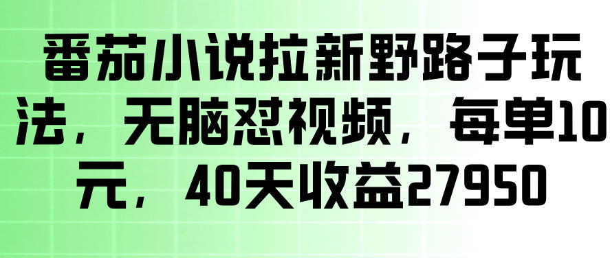 番茄小说拉新野路子玩法，无脑怼视频，玩法简单、见效快，每单10米，40天收益27950-宇文网创