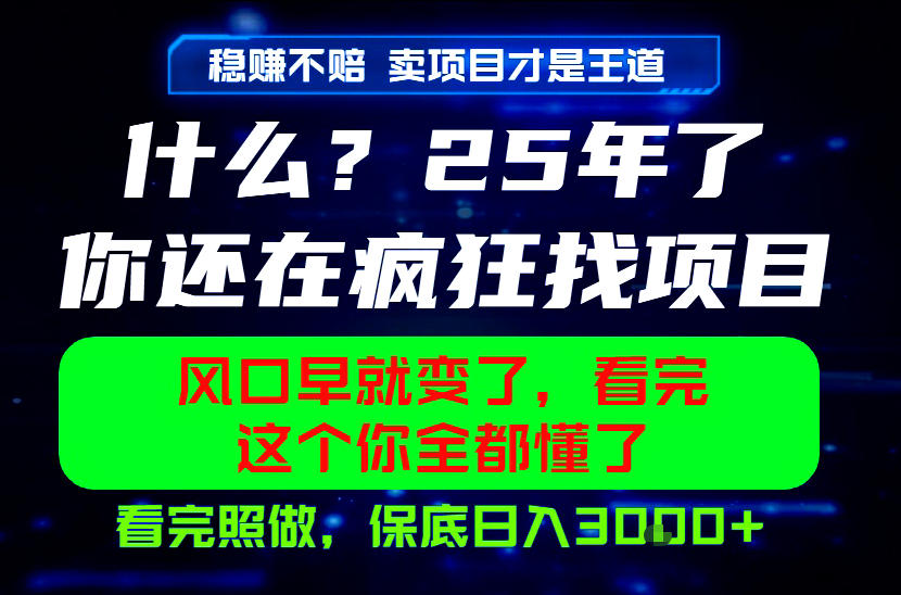 26年，请不要疯狂的找项目做了！卖项目才是真的稳賺不赔，看完照做，保底日入1k+【揭秘】-宇文网创