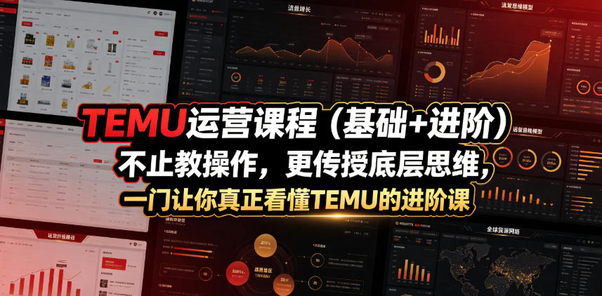 TEMU运营课程（基础+进阶），不止教操作，更传授底层思维，一门让你真正看懂TEMU的进阶课-宇文网创