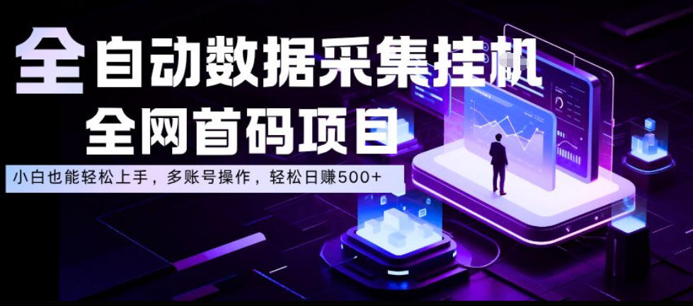 全自动数据采集挂G,全网首码项目,简单易操作,小白也能轻松上手,多账号操作,轻松日入500+【揭秘】-宇文网创