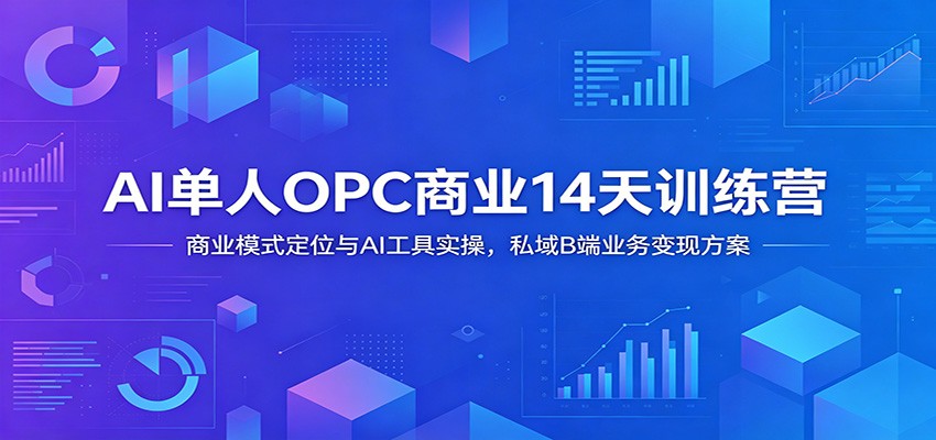 AI单人OPC商业14天训练营:商业模式定位与AI工具实操,私域B端业务变现方案-宇文网创