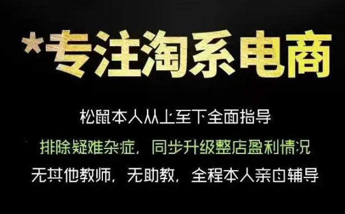 松鼠会电商VIP课程,从基础布局到高阶优化,助你掌握淘宝运营逻辑,提升店铺流量与转化-宇文网创