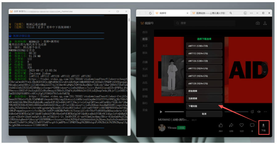图片[4]-Github热门工具，视频号下载神器又来了！一键注入下载按钮，轻松下载，使用便捷wx_channel-宇文网创