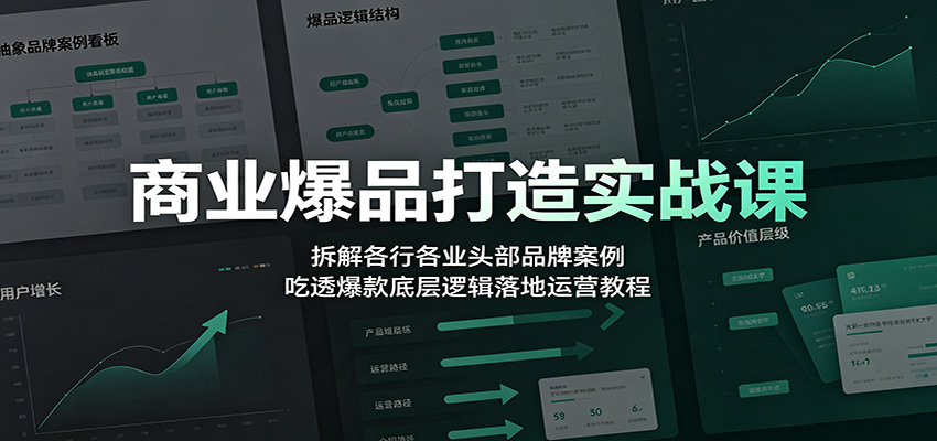 商业爆品打造实战课:拆解各行各业头部品牌案例,吃透爆款底层逻辑落地运营教程-宇文网创