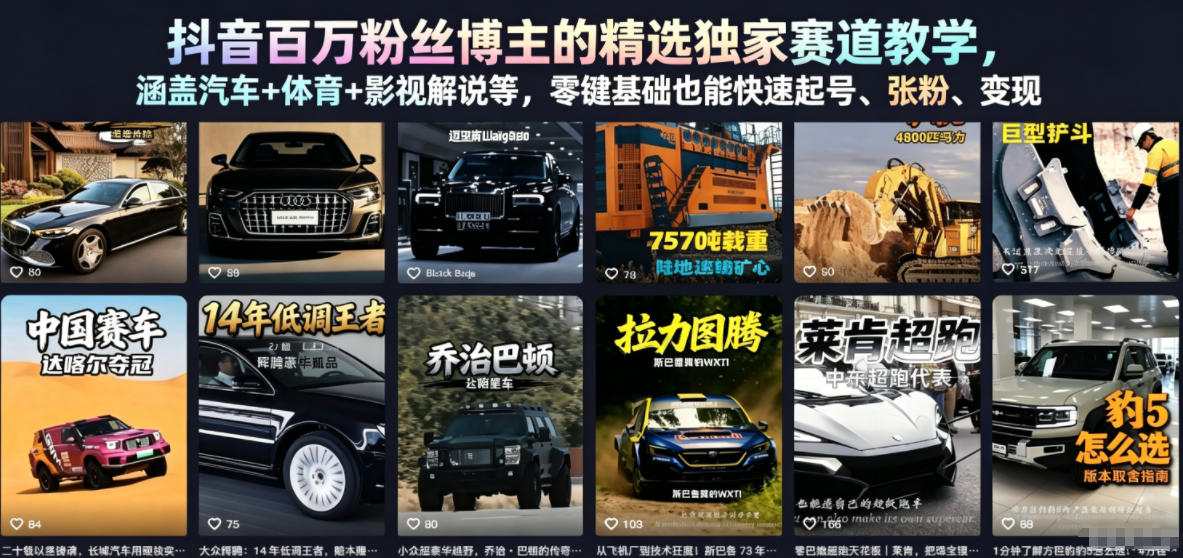 抖音百万粉丝博主的精选独家赛道教学，涵盖汽车+体育+影视解说等，零基础也能快速起号、涨粉、变现（更新0701）-宇文网创