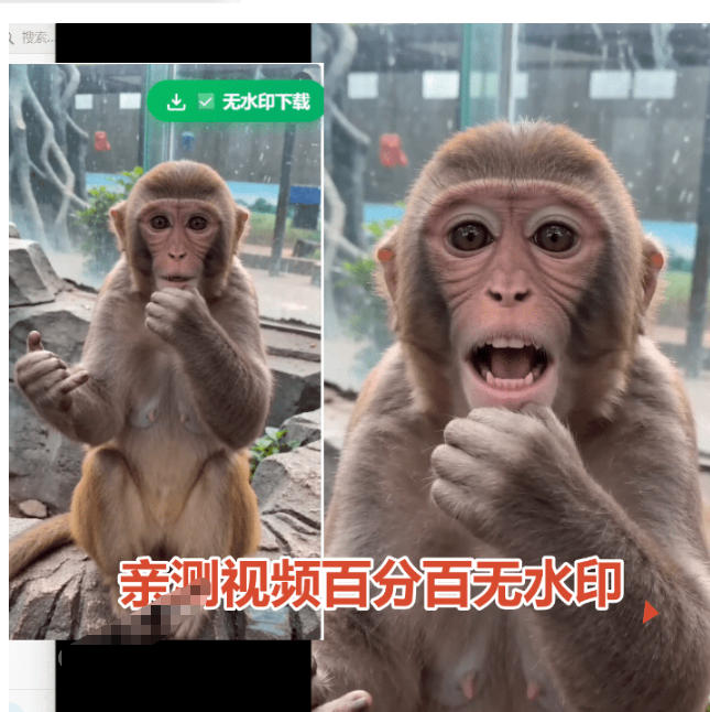 图片[2]-豆包无水印下载终于来了！支持豆包图片/视频，目前唯一免费使用的插件，浏览器拓展-宇文网创