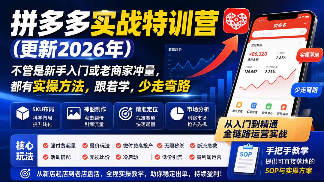 (19744期)拼多多实战特训营(更新2026年):不管是新手入门或老商家冲量,都有实操方法,跟着学,少走弯路-宇文网创