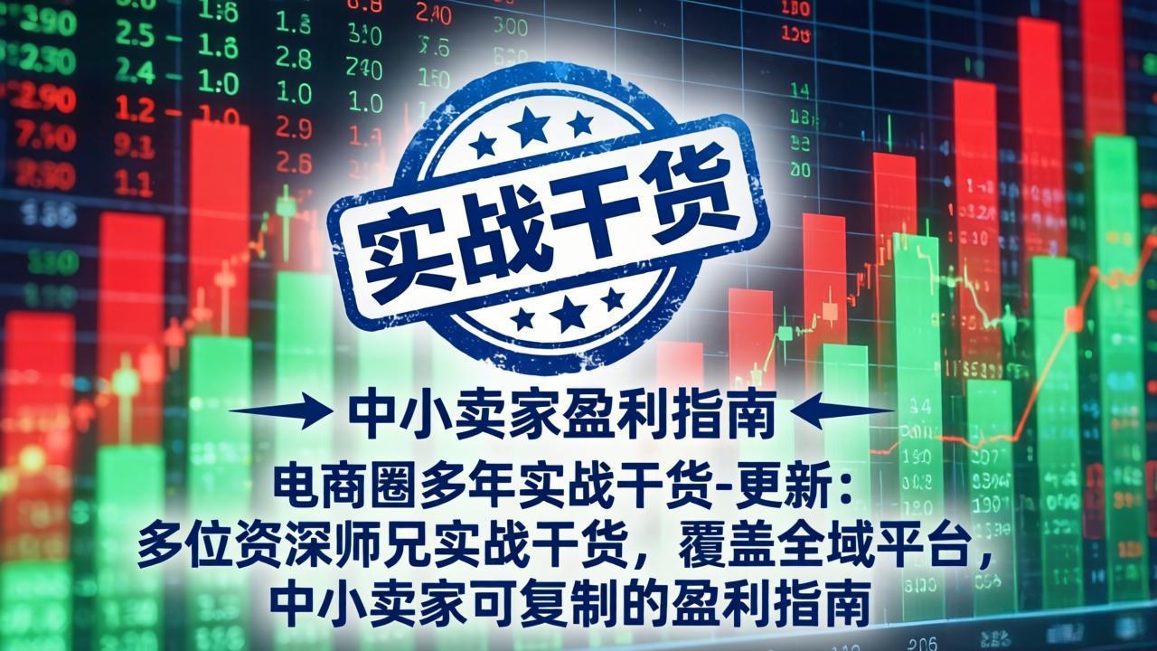 （19761期）电商圈多年实战干货-更新2026：多位资深师兄实战干货/覆盖全域平台，中小卖家可复制的盈利指南-宇文网创