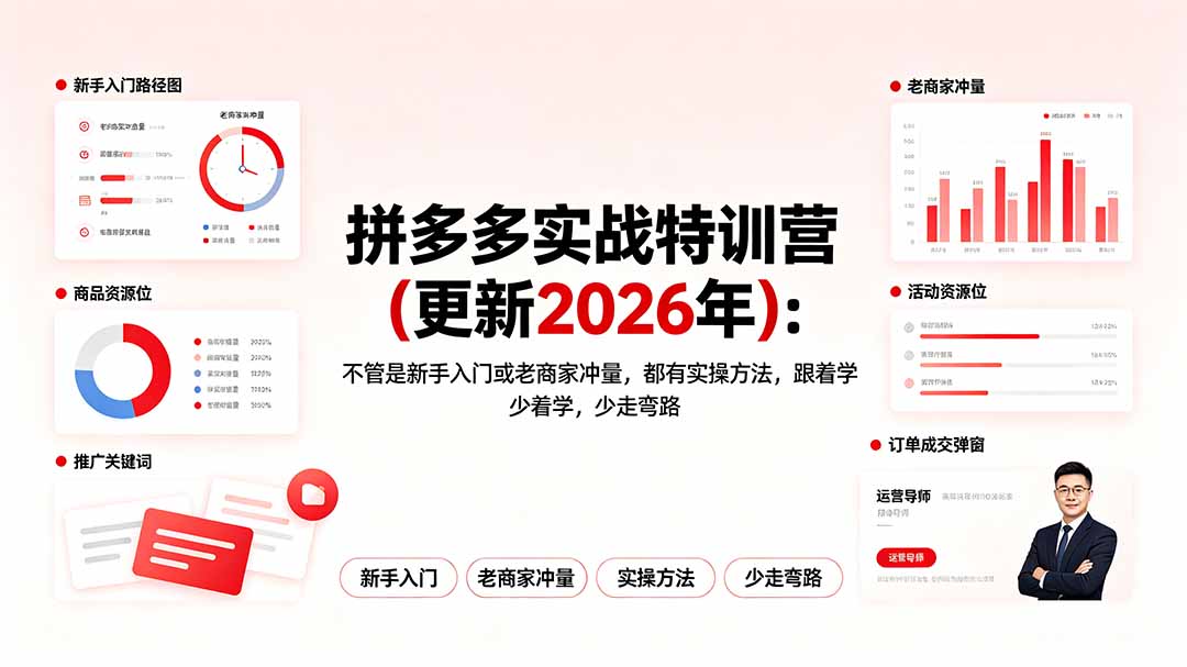 （19724期）拼多多实战特训营(更新2026年)：不管是新手入门或老商家冲量，都有实操方法，跟着学，少走弯路-宇文网创