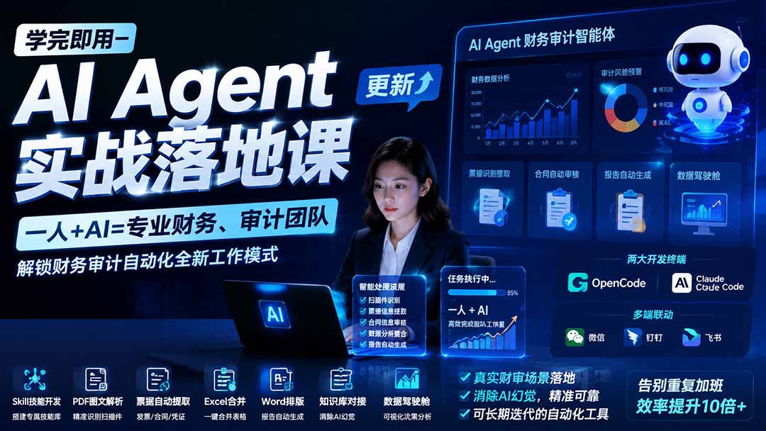 (19702期)学完即用—AI Agent实战落地课-更新:一人+AI=专业财务、审计团队,解锁财务审计自动化全新工作模式-宇文网创