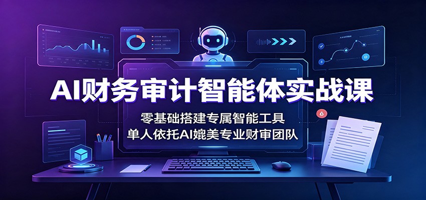 AI财务审计智能体实战课：零基础搭建专属智能工具，单人依托AI媲美专业财审团队-宇文网创