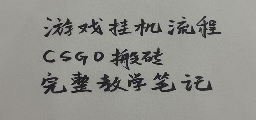游戏挂机全流程笔记分享,CSGO游戏搬砖,小白看了当天学会见收益-宇文网创