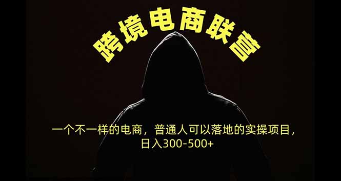 （20702期）跨境电商联营，一个不一样的电商，普通人可操作日入300-500+-宇文网创