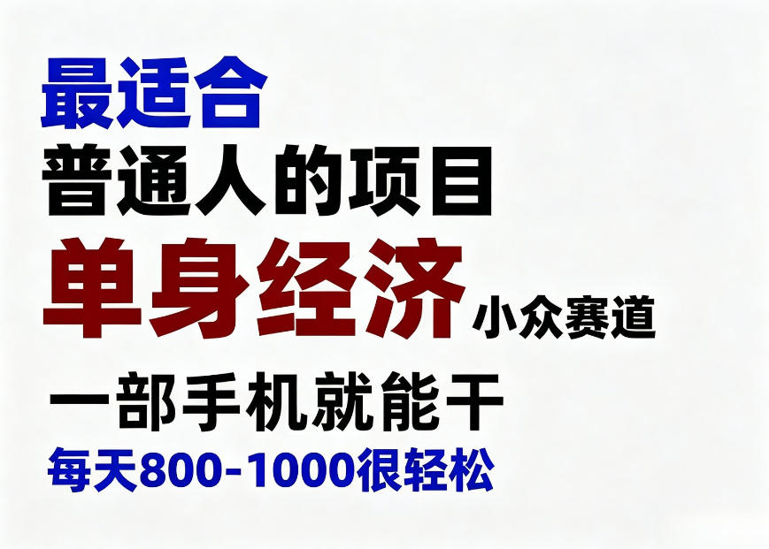 身经济小众赛道,一部手机就能干,每天搞个800-1000很轻松,最适合普通人的项目【揭秘】-宇文网创
