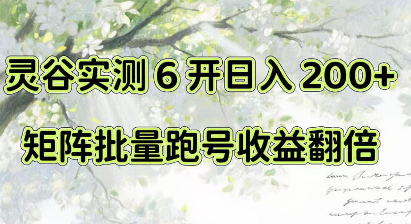 一台电脑就能做!灵谷实测6开日入200+,矩阵批量跑号收益翻倍【揭秘】-宇文网创