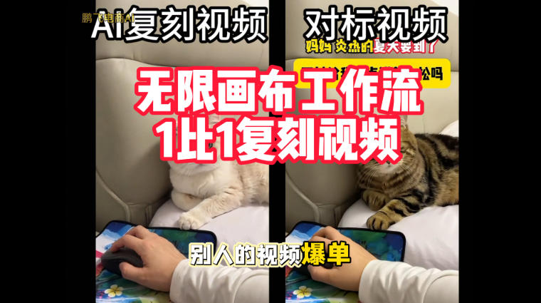 宠物带货视频复刻,无限画布工作流1比1,不用拍摄、不用布景、不用真人出镜,几分钟就能做出一条专业带货视频-宇文网创