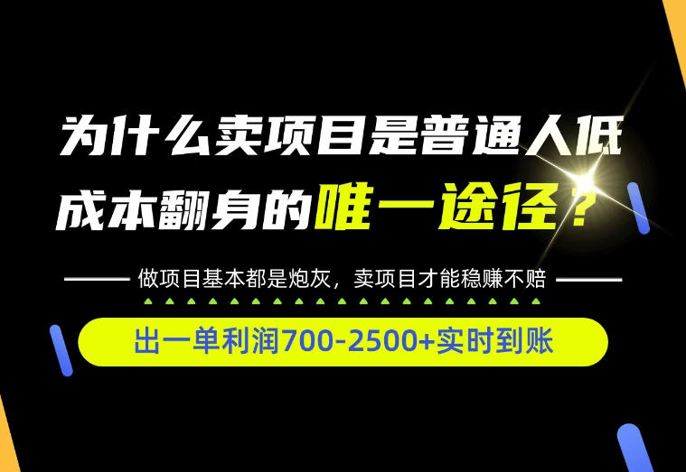 普通人如何靠互联网賺取自己的第一桶金!全类目实操型教学,看完你全都懂了!【揭秘】-宇文网创